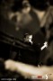 039_TSLovesJazz_Miroir_Frusso_phMassimoGoina