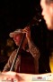 062_TSLovesJazz_OliverKer_phMassimoGoina