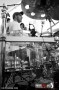12_TSLovesJazz_GospelChoirDavidMassey_phMassimoGoina